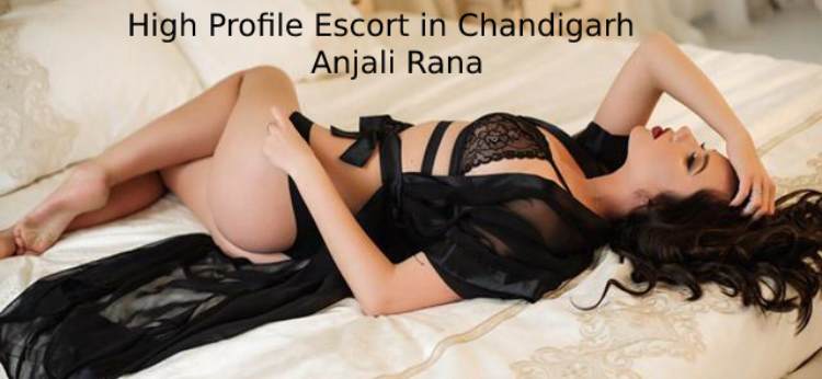 High Profile Escort in Chandigarh